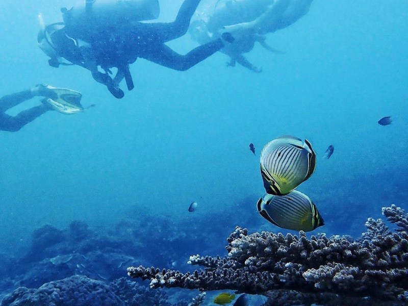 Barat Dive Centre&nbsp;Tioman